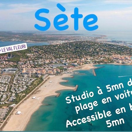 Magnifique Studio à Sete proche des plages Exterior foto