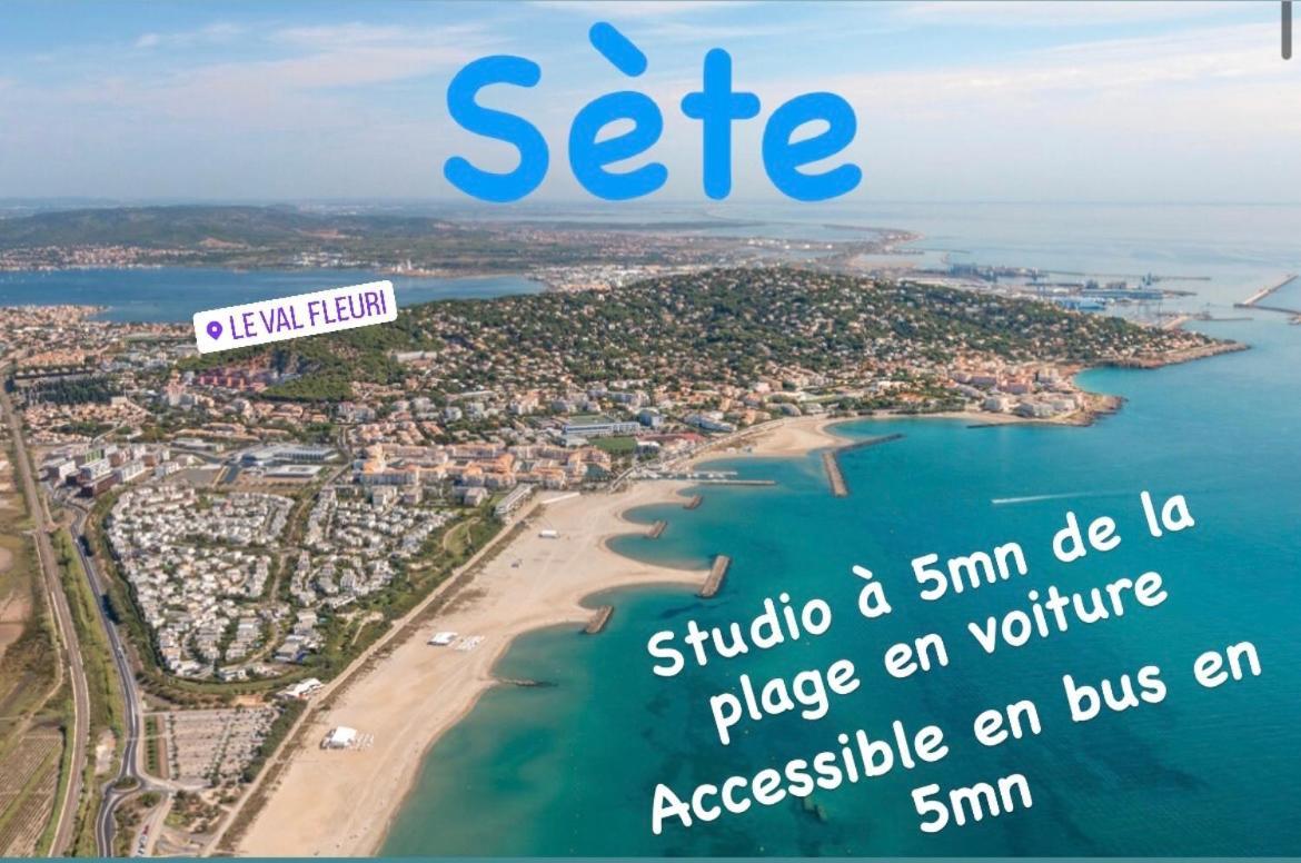Magnifique Studio à Sete proche des plages Exterior foto
